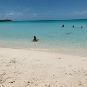 Meet your Posher, Nikki